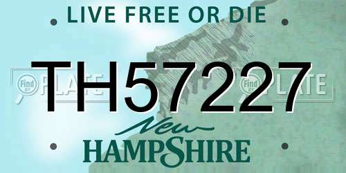 TH57227 New Hampshire License Plate