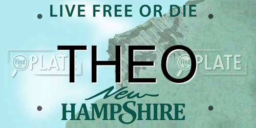 THEO New Hampshire License Plate