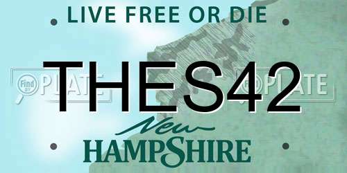 THES42 New Hampshire License Plate
