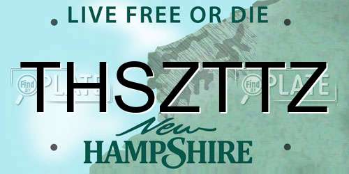 THSZTTZ New Hampshire License Plate