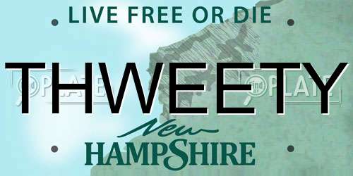 THWEETY New Hampshire License Plate