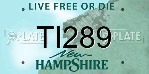 TI289 New Hampshire License Plate