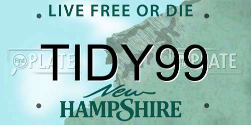 TIDY99 New Hampshire License Plate