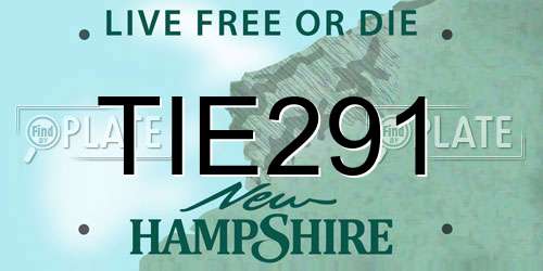 TIE291 New Hampshire License Plate