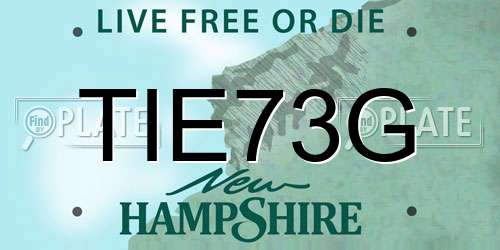 TIE73G New Hampshire License Plate