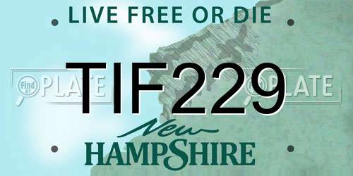 TIF229 New Hampshire License Plate