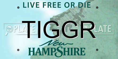 TIGGR New Hampshire License Plate