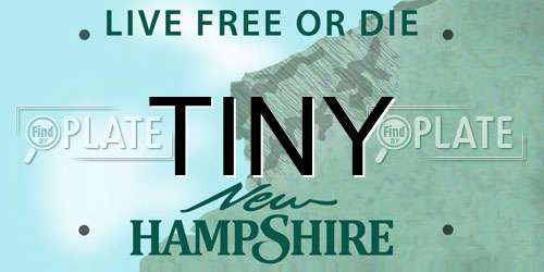 TINY New Hampshire License Plate