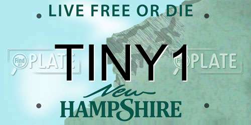TINY1 New Hampshire License Plate
