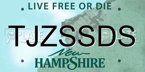 TJZSSDS New Hampshire License Plate