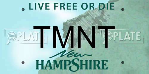 TMNT New Hampshire License Plate