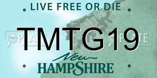 TMTG19 New Hampshire License Plate