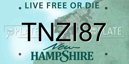 TNZI87 New Hampshire License Plate