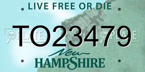 TO23479 New Hampshire License Plate