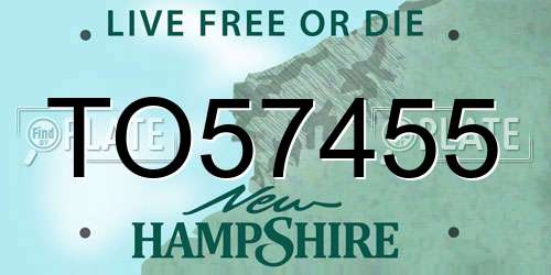 TO57455 New Hampshire License Plate