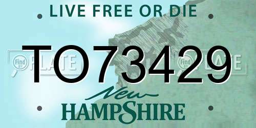 TO73429 New Hampshire License Plate