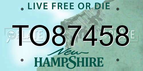 TO87458 New Hampshire License Plate