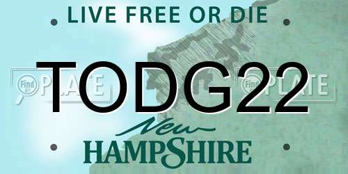 TODG22 New Hampshire License Plate