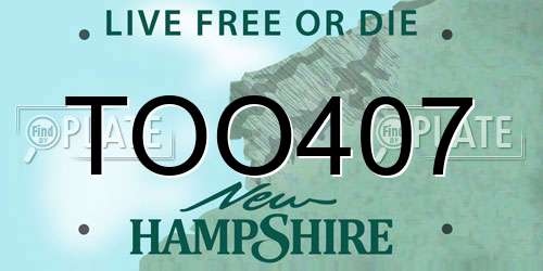TOO407 New Hampshire License Plate