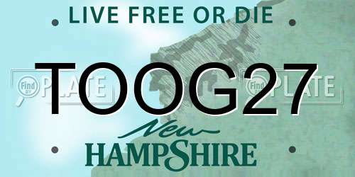 TOOG27 New Hampshire License Plate