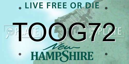 TOOG72 New Hampshire License Plate
