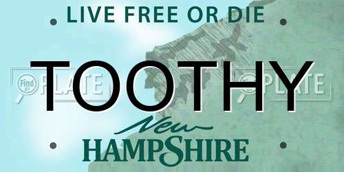 TOOTHY New Hampshire License Plate