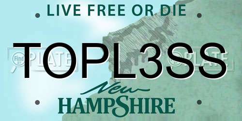 TOPL3SS New Hampshire License Plate