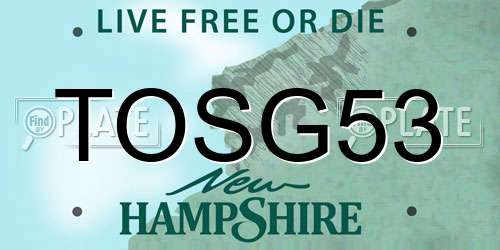 TOSG53 New Hampshire License Plate