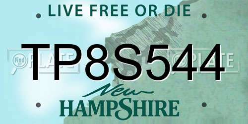 TP8S544 New Hampshire License Plate