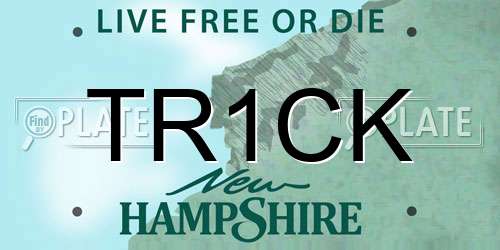 TR1CK New Hampshire License Plate