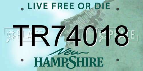 TR74018 New Hampshire License Plate