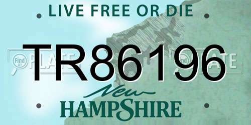TR86196 New Hampshire License Plate