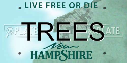 TREES New Hampshire License Plate