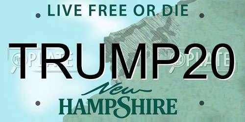 TRUMP20 New Hampshire License Plate