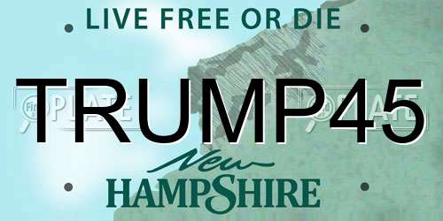 TRUMP45 New Hampshire License Plate
