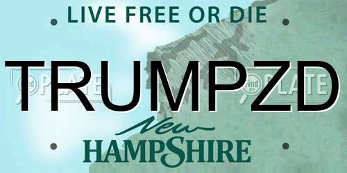 TRUMPZD New Hampshire License Plate