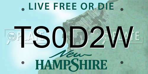 TS0D2W New Hampshire License Plate