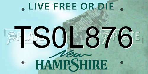 TS0L876 New Hampshire License Plate