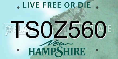 TS0Z560 New Hampshire License Plate