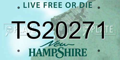 TS20271 New Hampshire License Plate