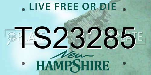 TS23285 New Hampshire License Plate