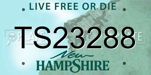 TS23288 New Hampshire License Plate