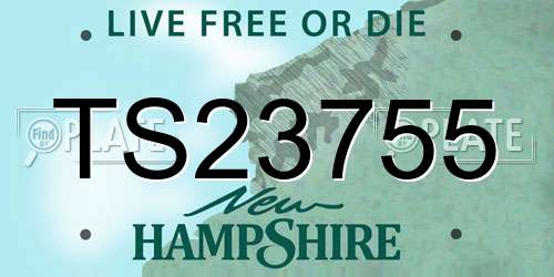 TS23755 New Hampshire License Plate