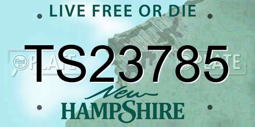 TS23785 New Hampshire License Plate