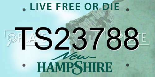 TS23788 New Hampshire License Plate