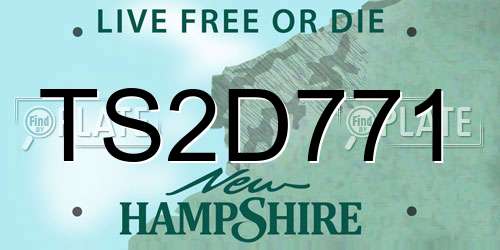 TS2D771 New Hampshire License Plate