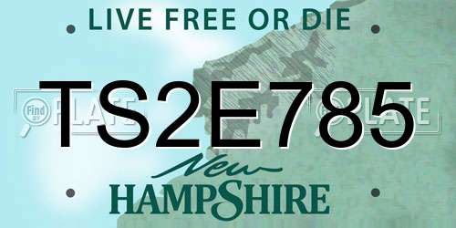 TS2E785 New Hampshire License Plate