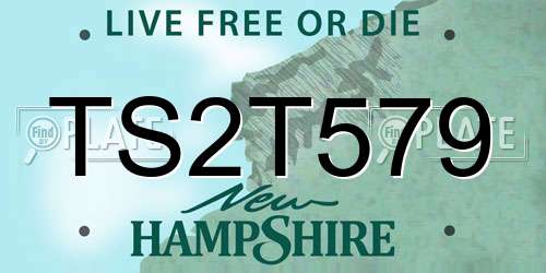 TS2T579 New Hampshire License Plate