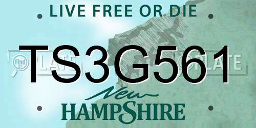 TS3G561 New Hampshire License Plate