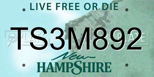TS3M892 New Hampshire License Plate